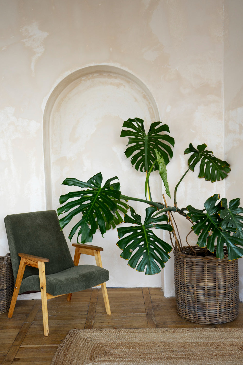 De allergrootste planten van de hoogste kwaliteit