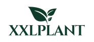 XXLplant
