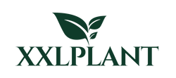 XXLplant