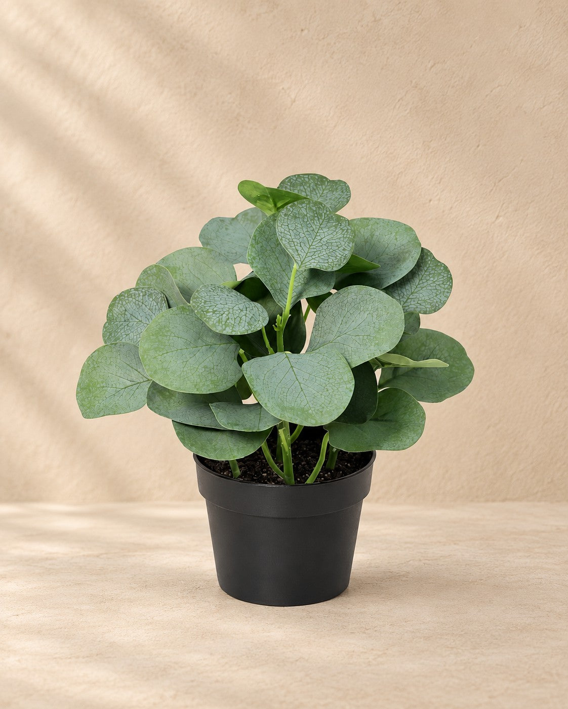 Kunstpflanze Eukalyptus kaufen, 21 cm