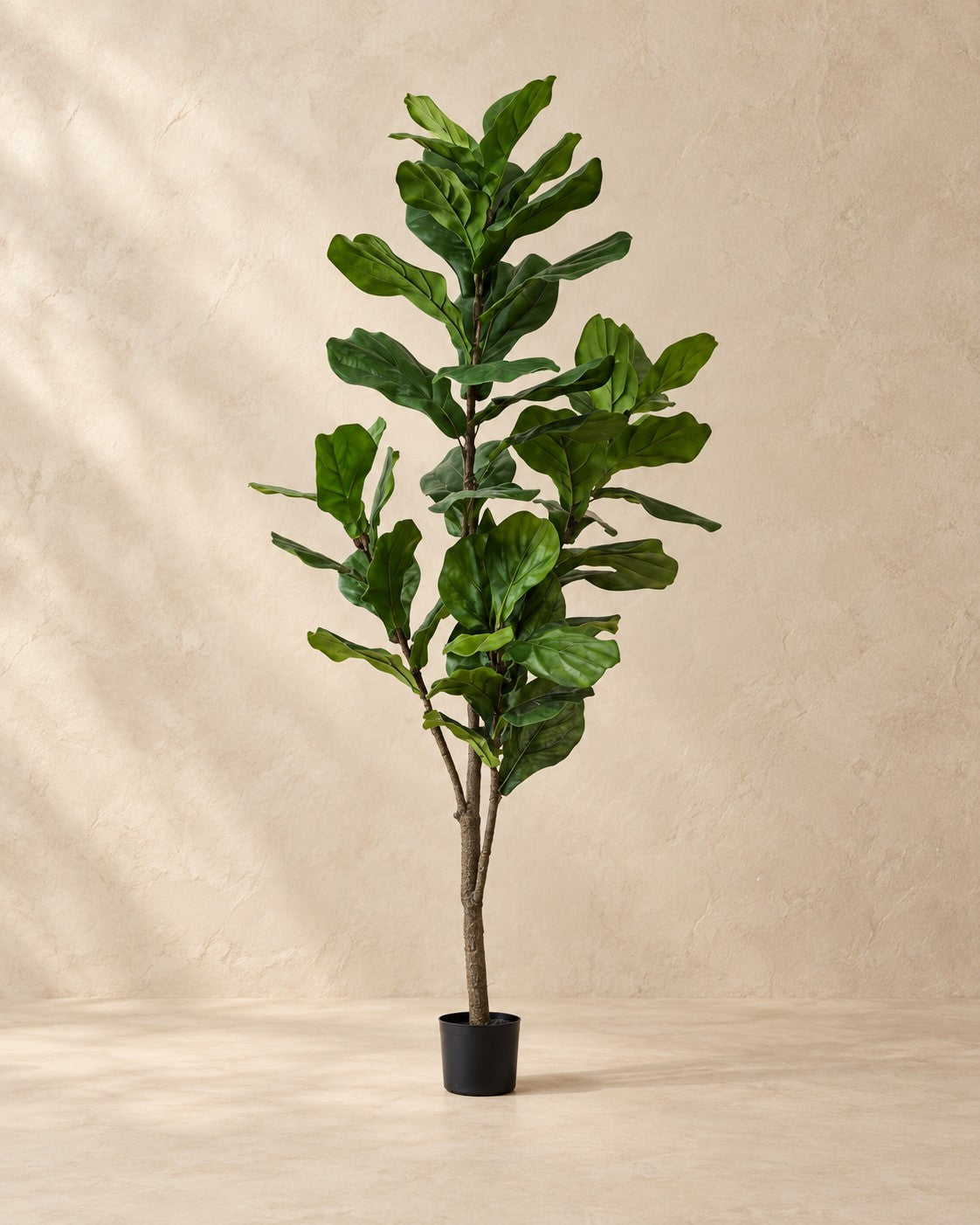Kunstpflanze Ficus lyrata | 150 cm
