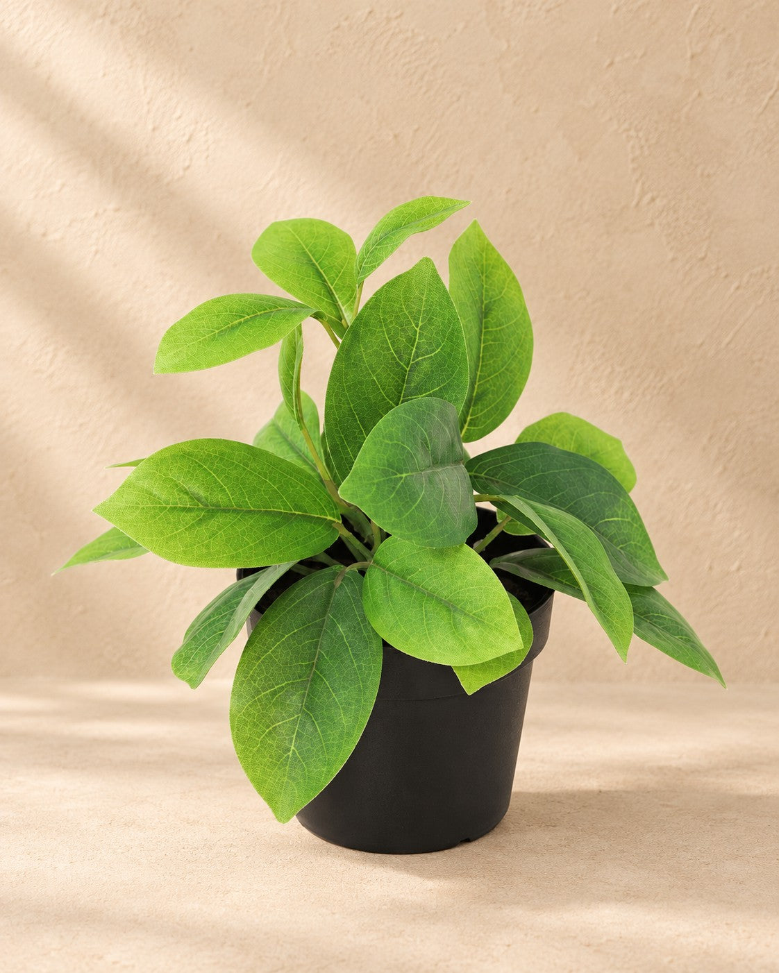 Kunstpflanze Hoya grün, 20 cm