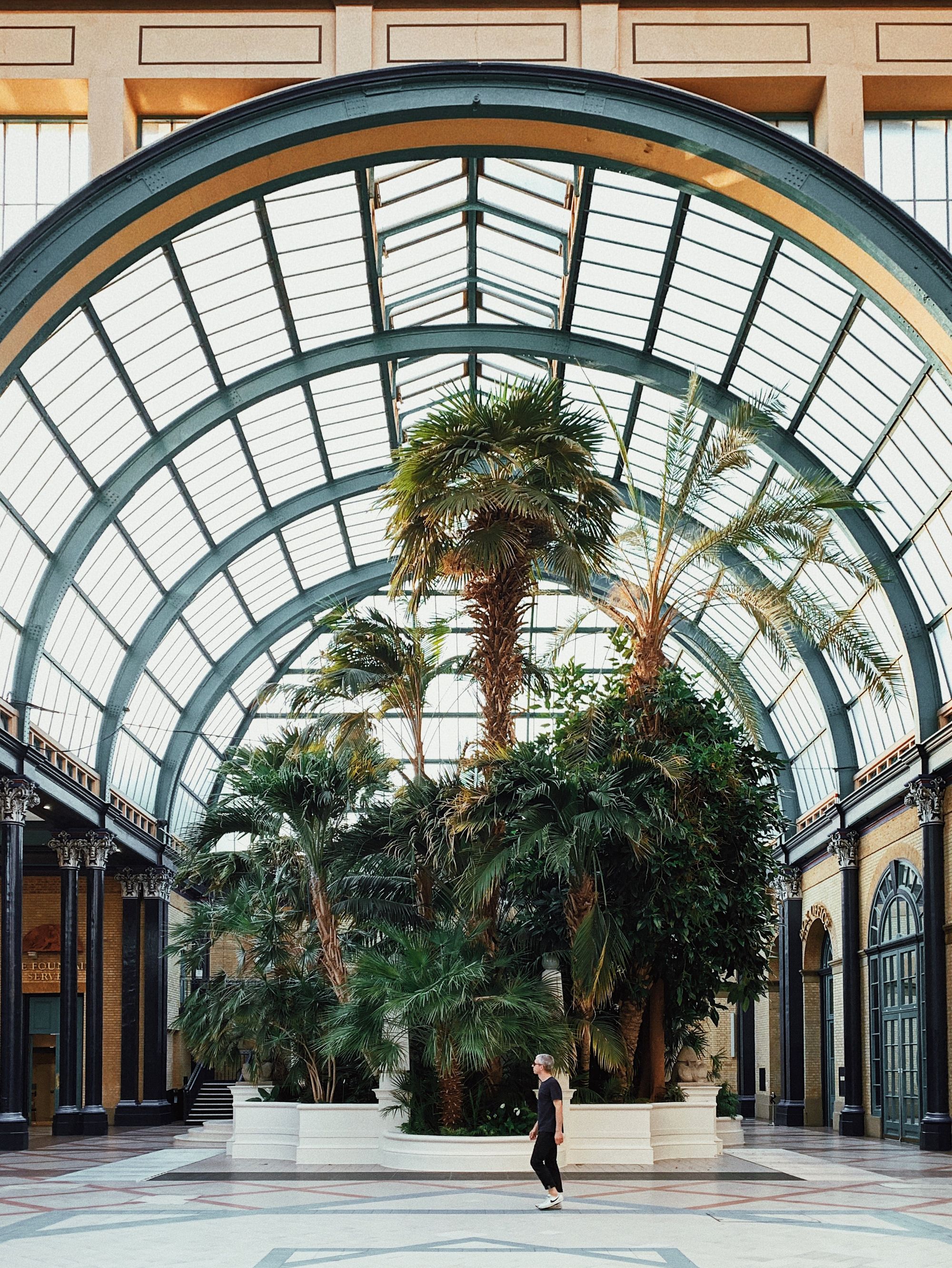 Man loopt tussen grote binnenplanten in een licht kantoorpand