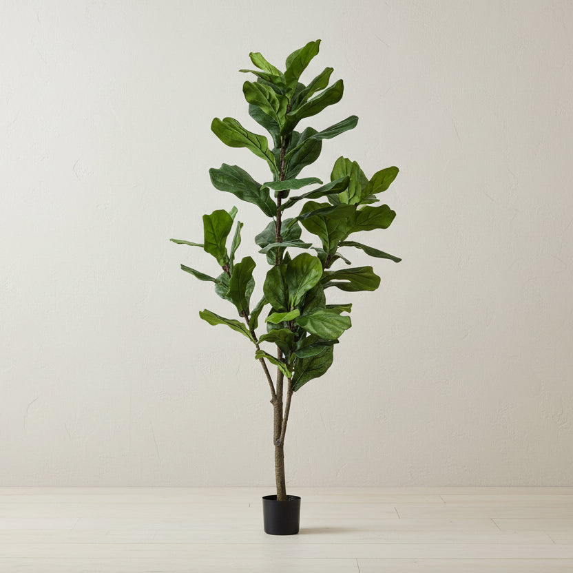 Kunstpflanze Ficus lyrata | 150 cm | XXLpflanze  XXLplant