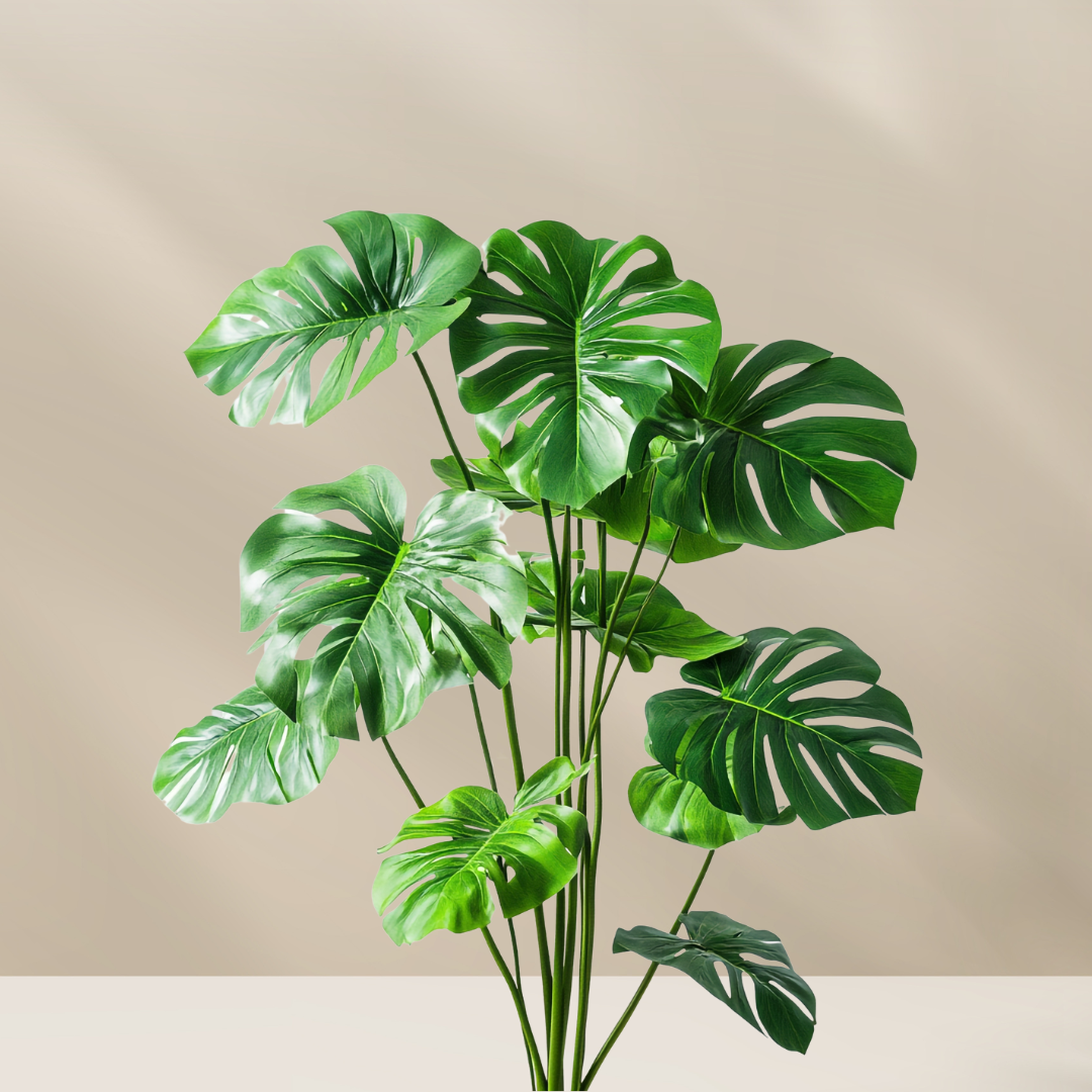 Gemiddelde planten (<150 cm)