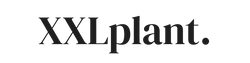 XXLplant