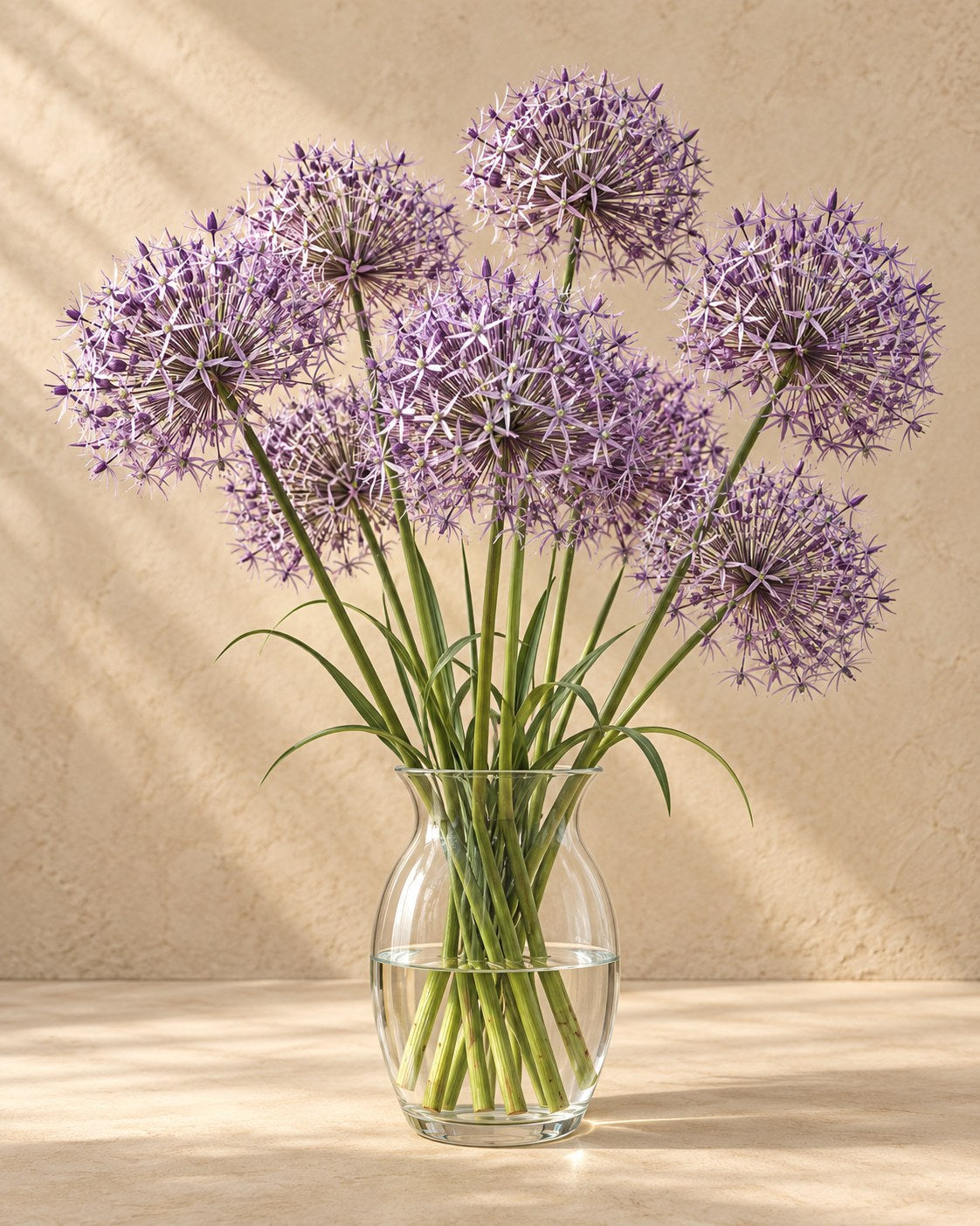 Bulbes d'ail d'ornement Christophii en fleurs dans un vase