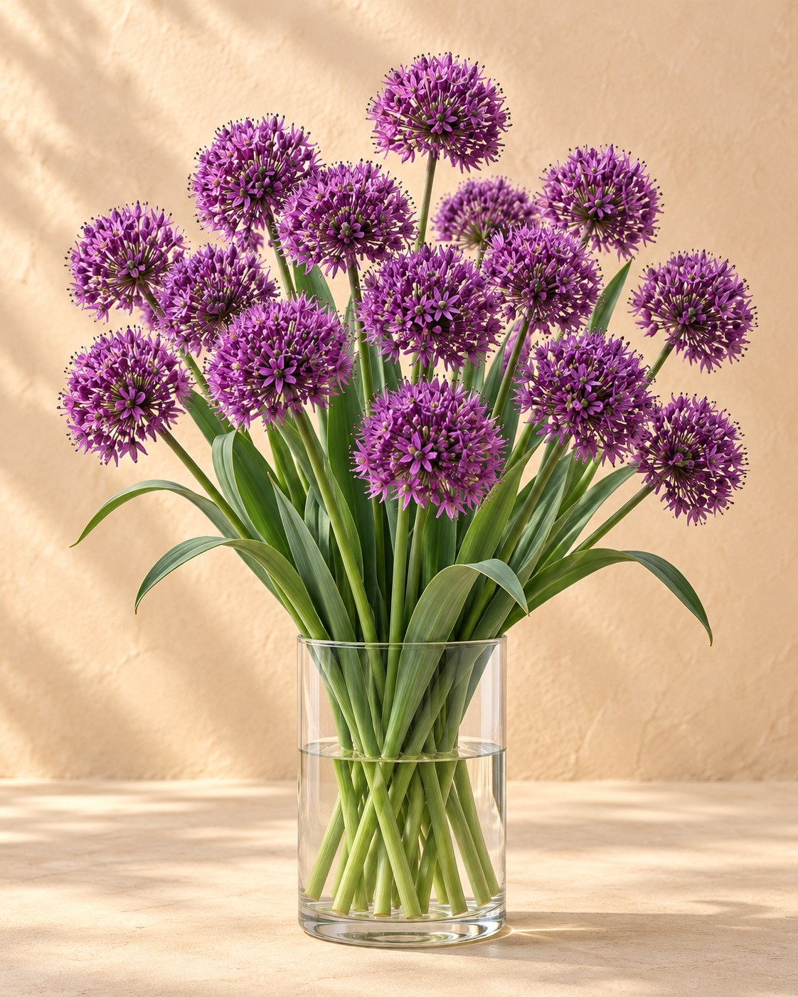 Bulbes d'ail d'ornement Miami en fleurs dans un vase