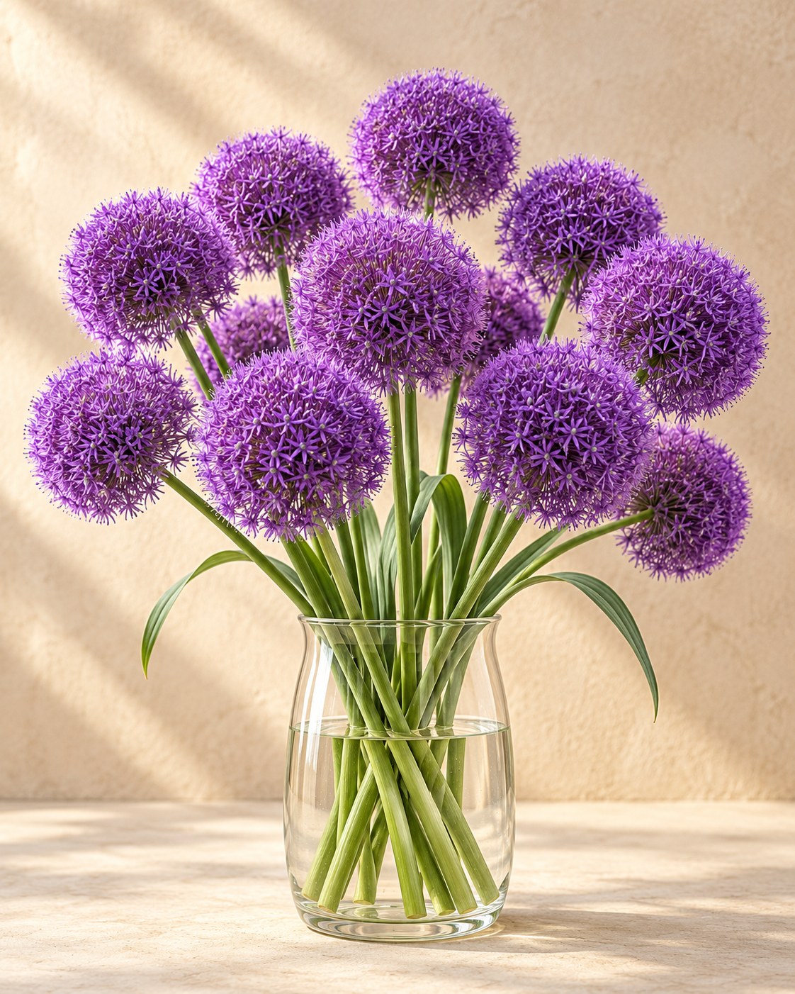 Allium bulbs Pinball Wizard in flower in a vase