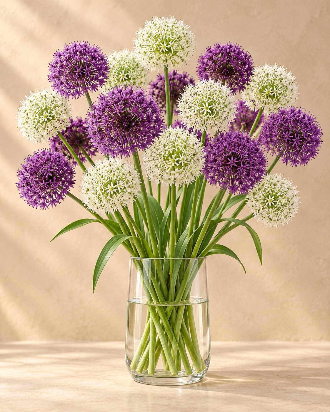 Bulbes d'ail d'ornement Purple-White mix en fleurs dans un vase