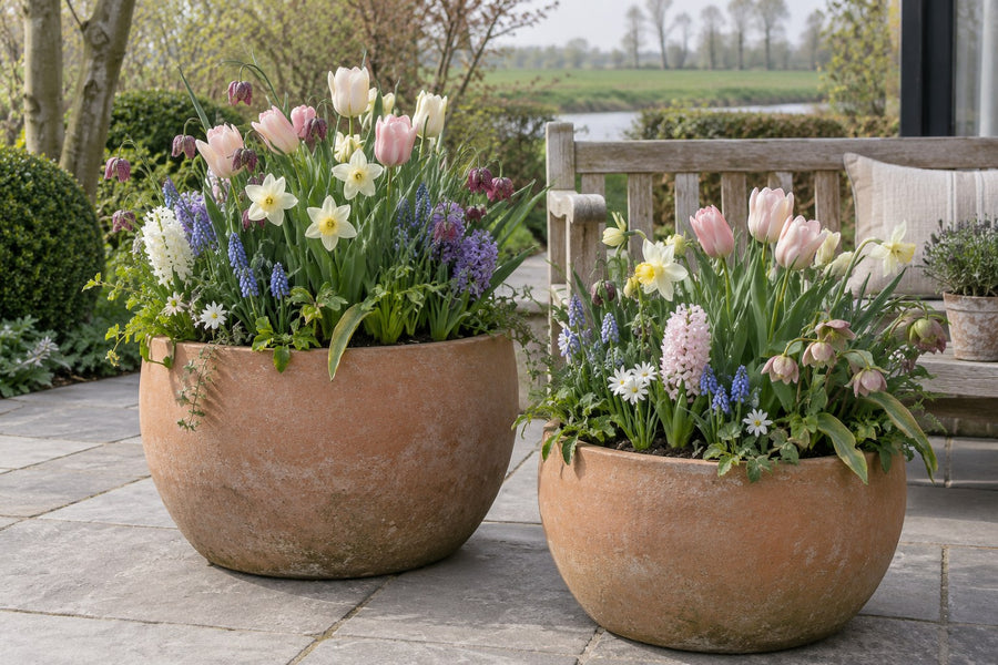 Bloembollen Natte Tuin mix (Bulb Wet Garden)