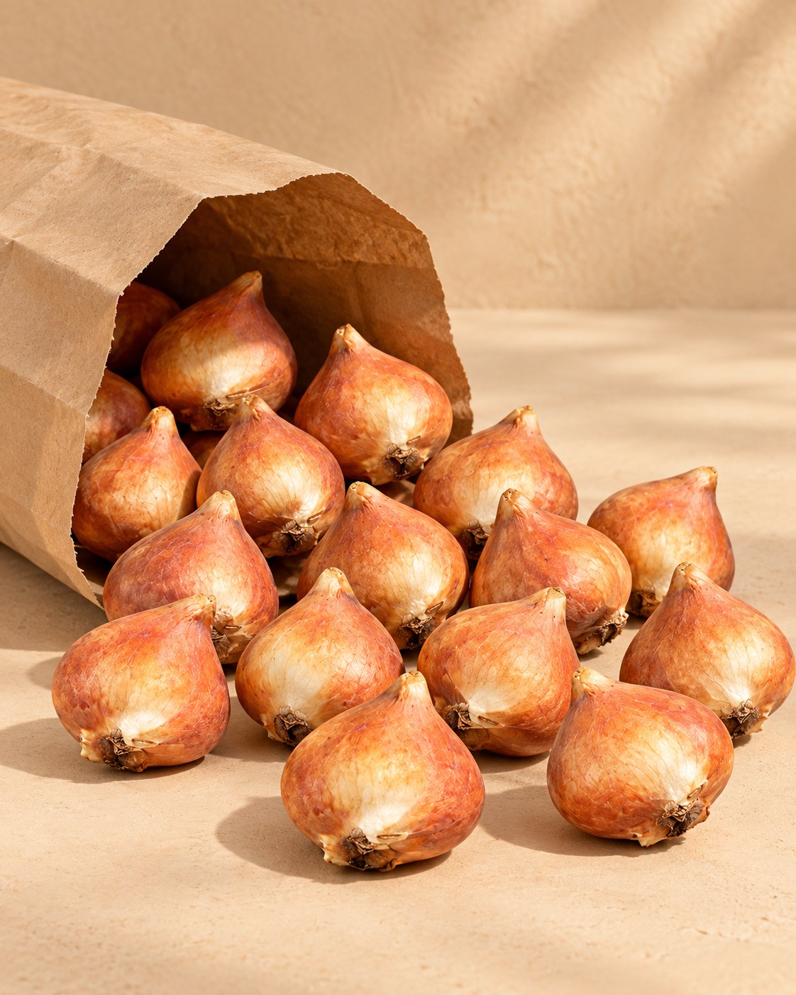 Bulbos de Bulbos de flor de Holanda mezcla