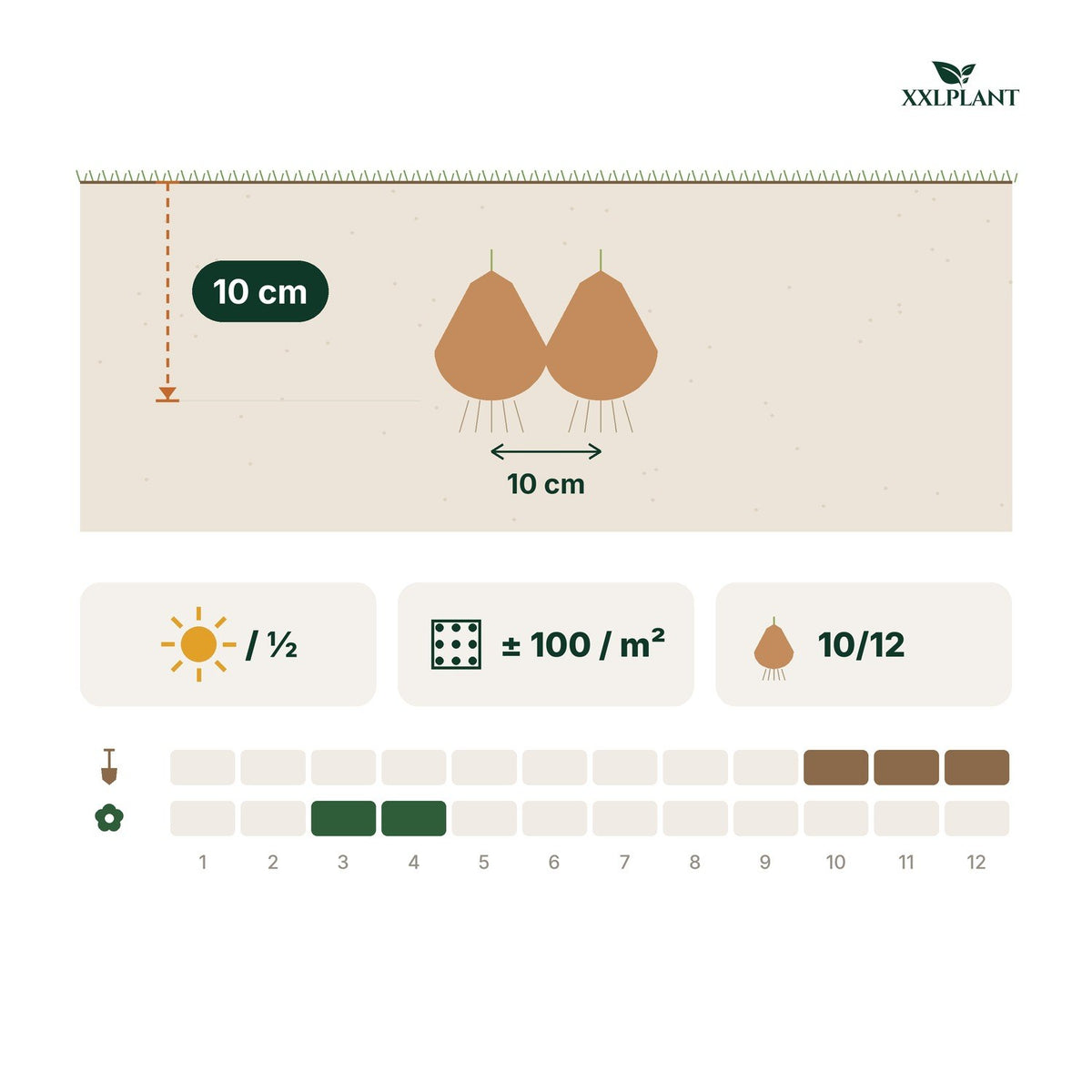 Plantkaart bloembollen wet garden mix: 10 cm diep, 10 cm uit elkaar