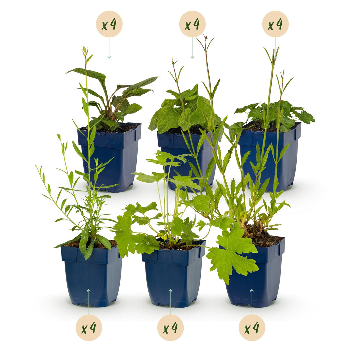 Kit per aiuola api e farfalle