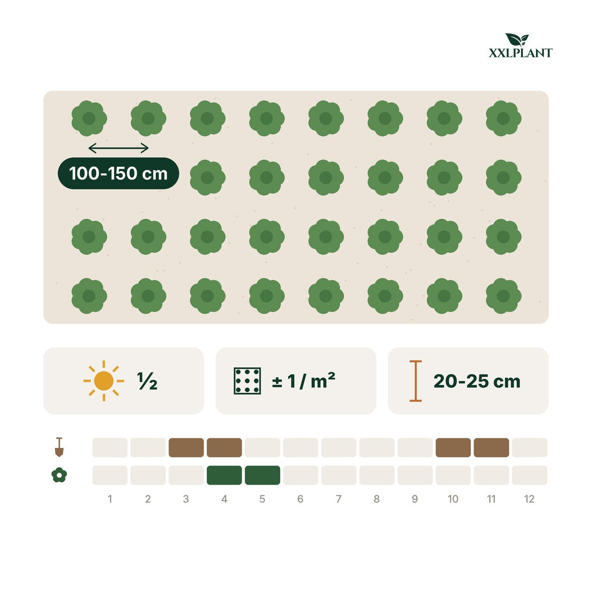 Plantkaart Bosbessenplant bio: 100-150 cm uit elkaar, ongeveer 1 per m²