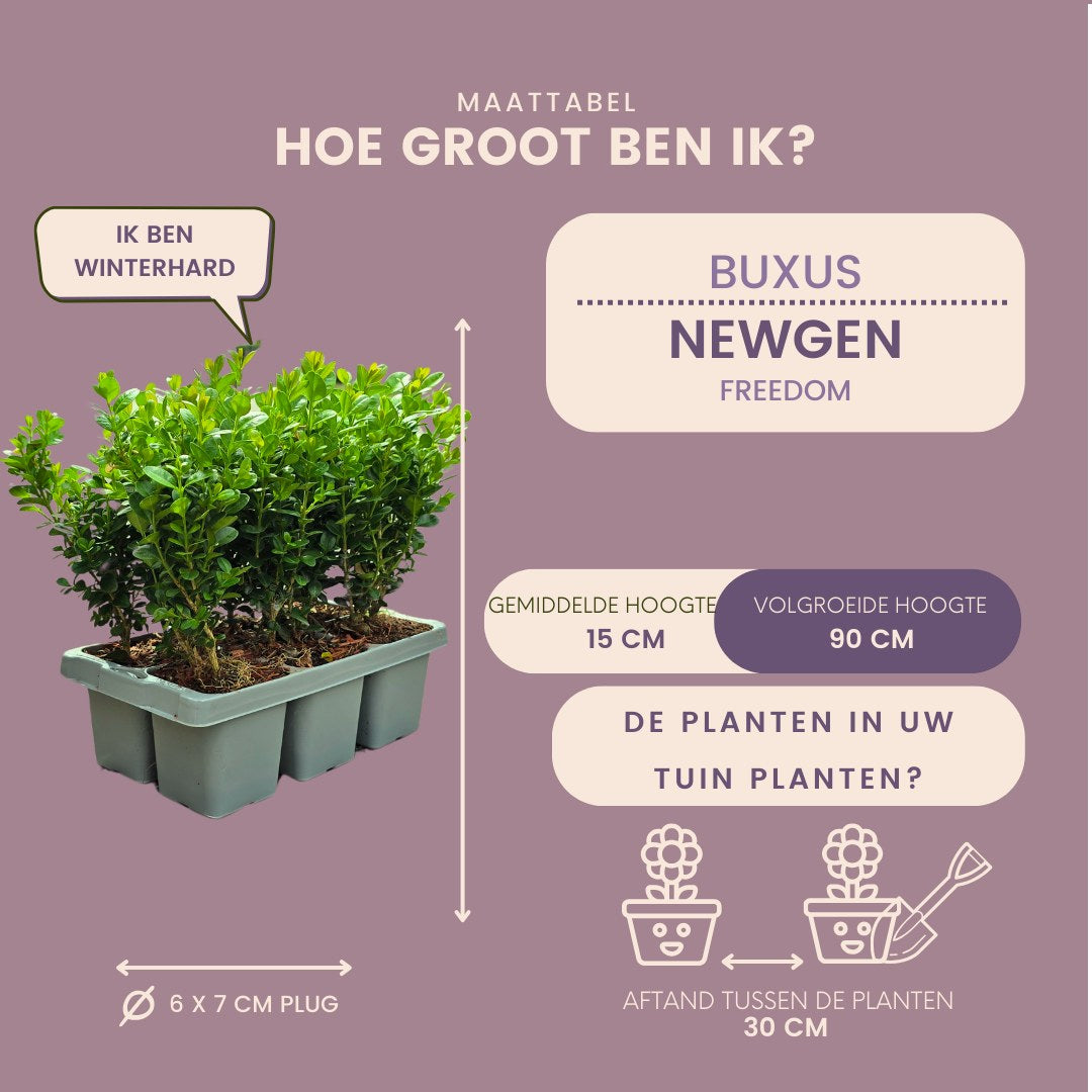 Boj 'NewGen Freedom' en el jardín