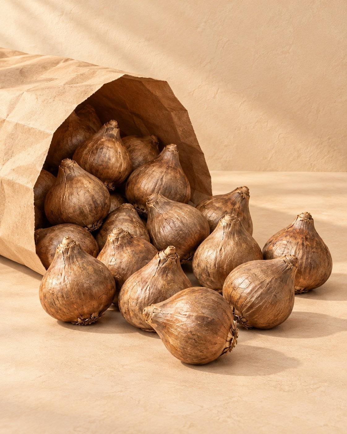 Bollen van camassia leichtlinii mix
