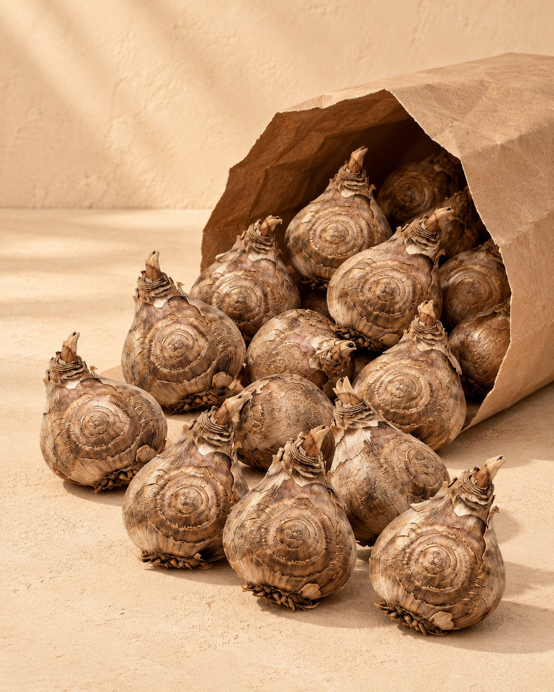 Bollen van freesia dubbele mix