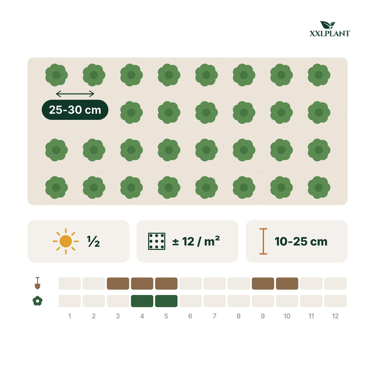 Plantkaart Goudaardbei: 25-30 cm uit elkaar, ongeveer 12 per m²