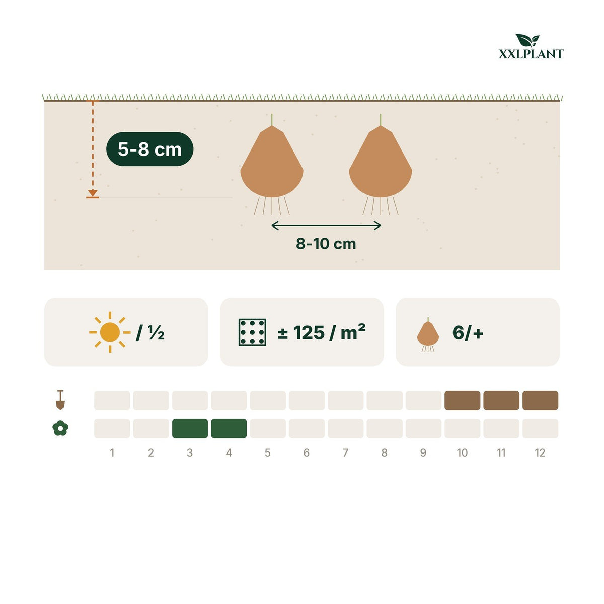 Plantkaart helmbloembollen beth evans: 5-8 cm diep, 8-10 cm uit elkaar