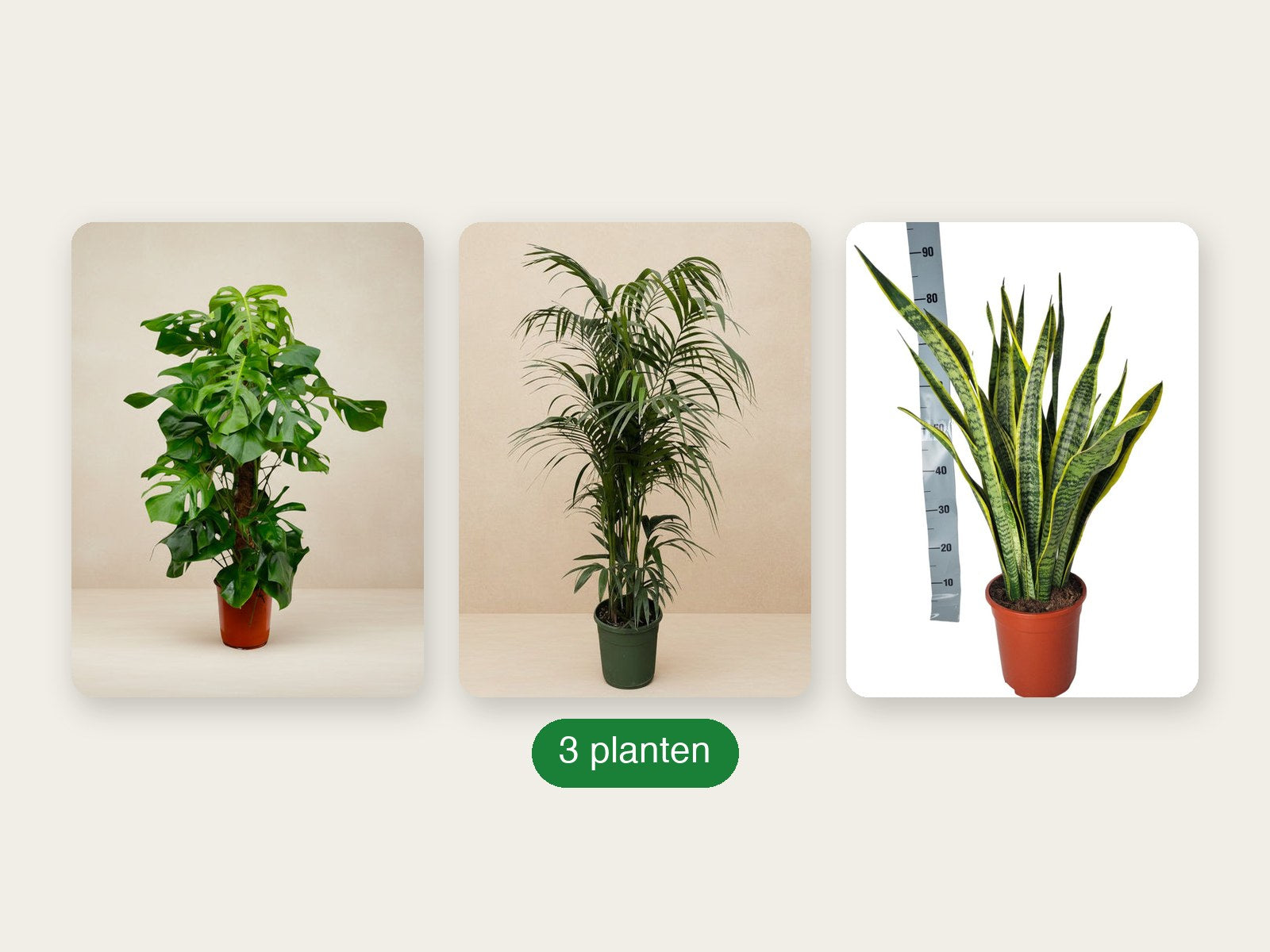 Het Groene Pakket - inhoud