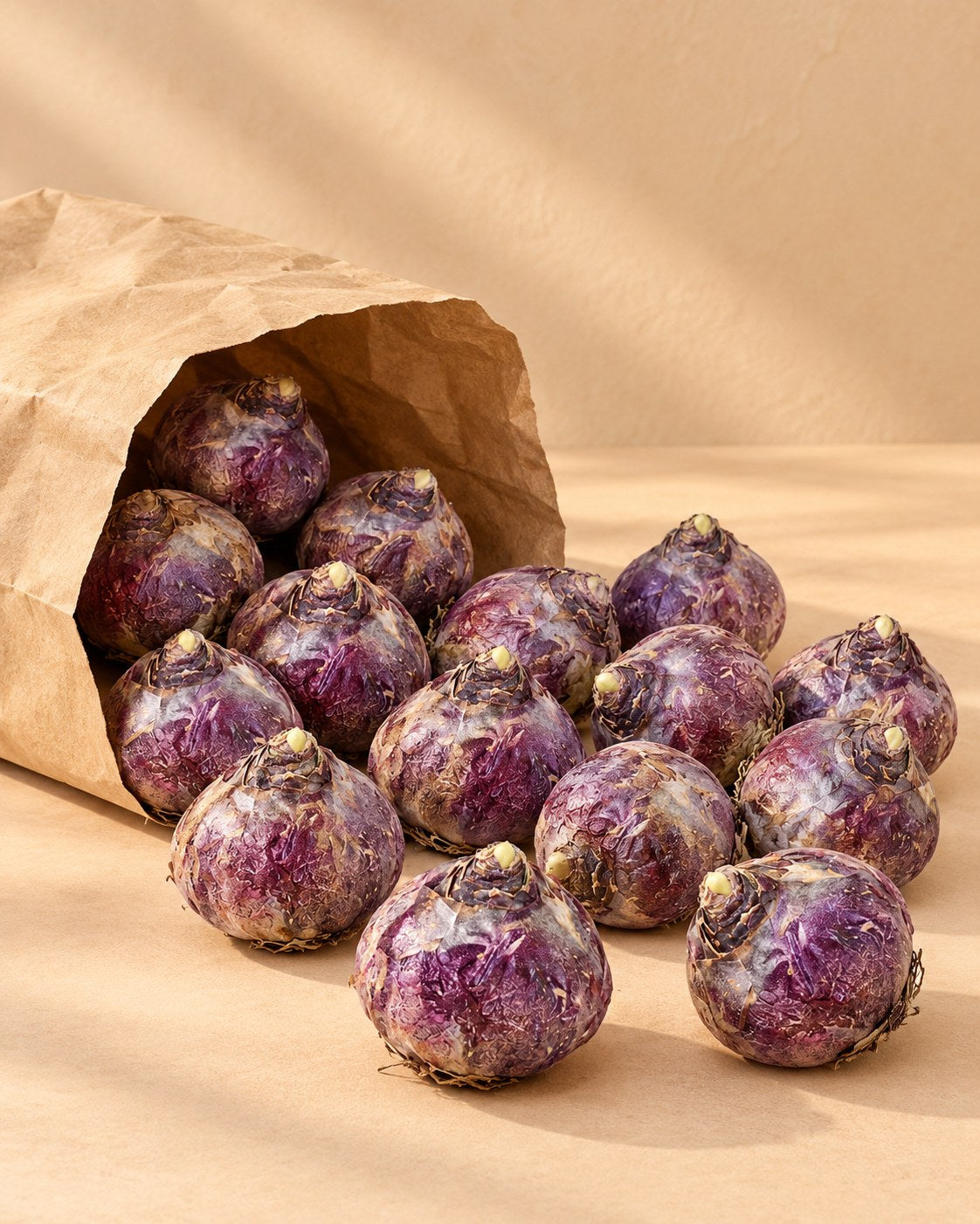 Bollen van hyacint mix