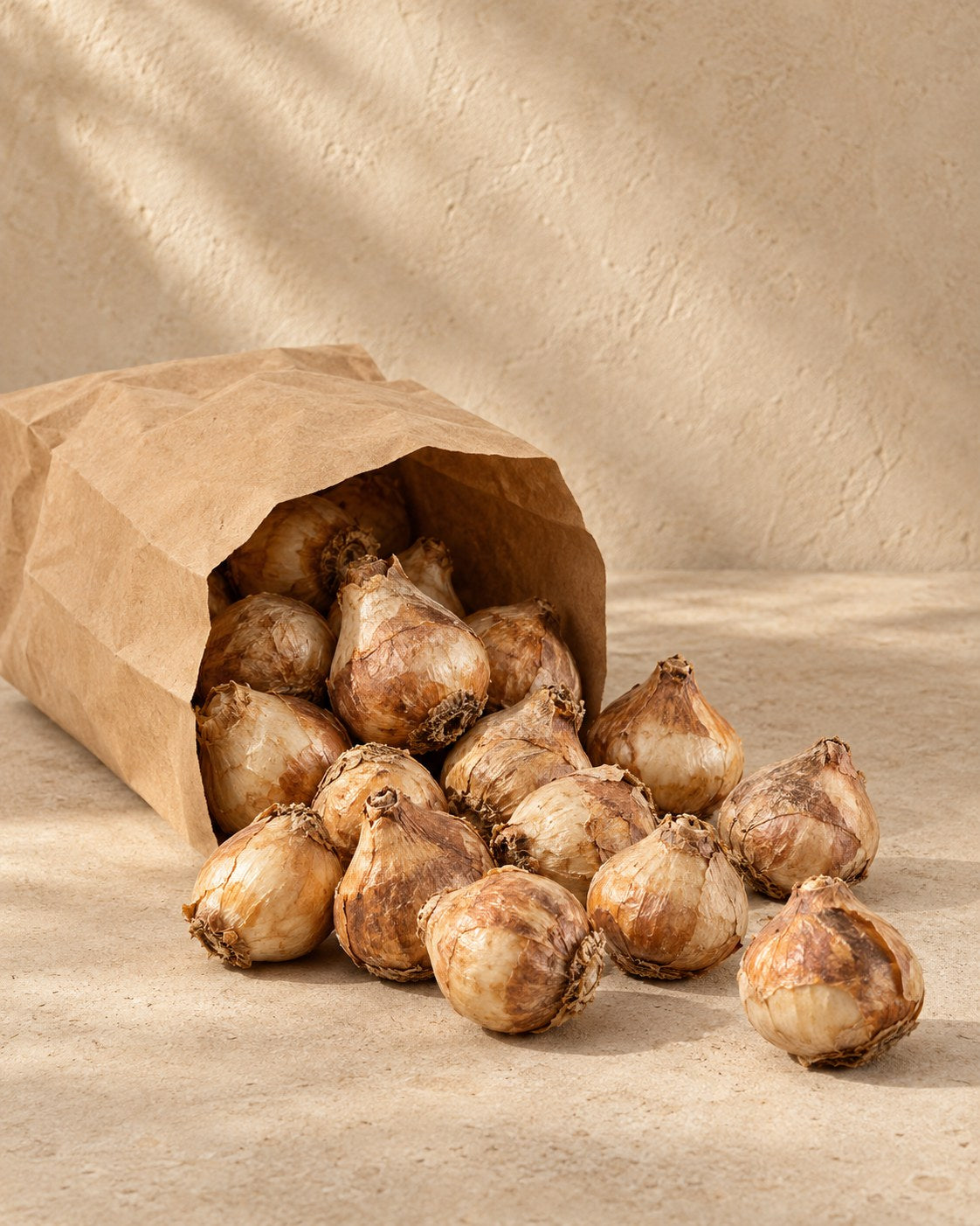 Bulbos de Bulbos de jacinto mezcla pastel