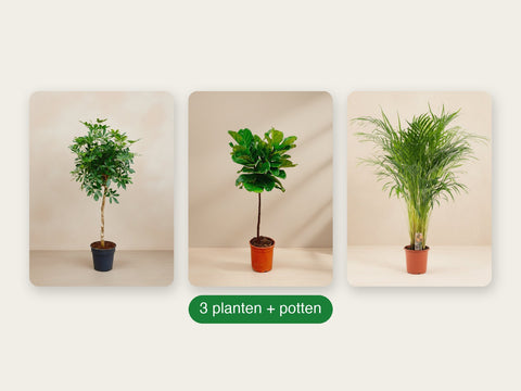 Plantenpakketten