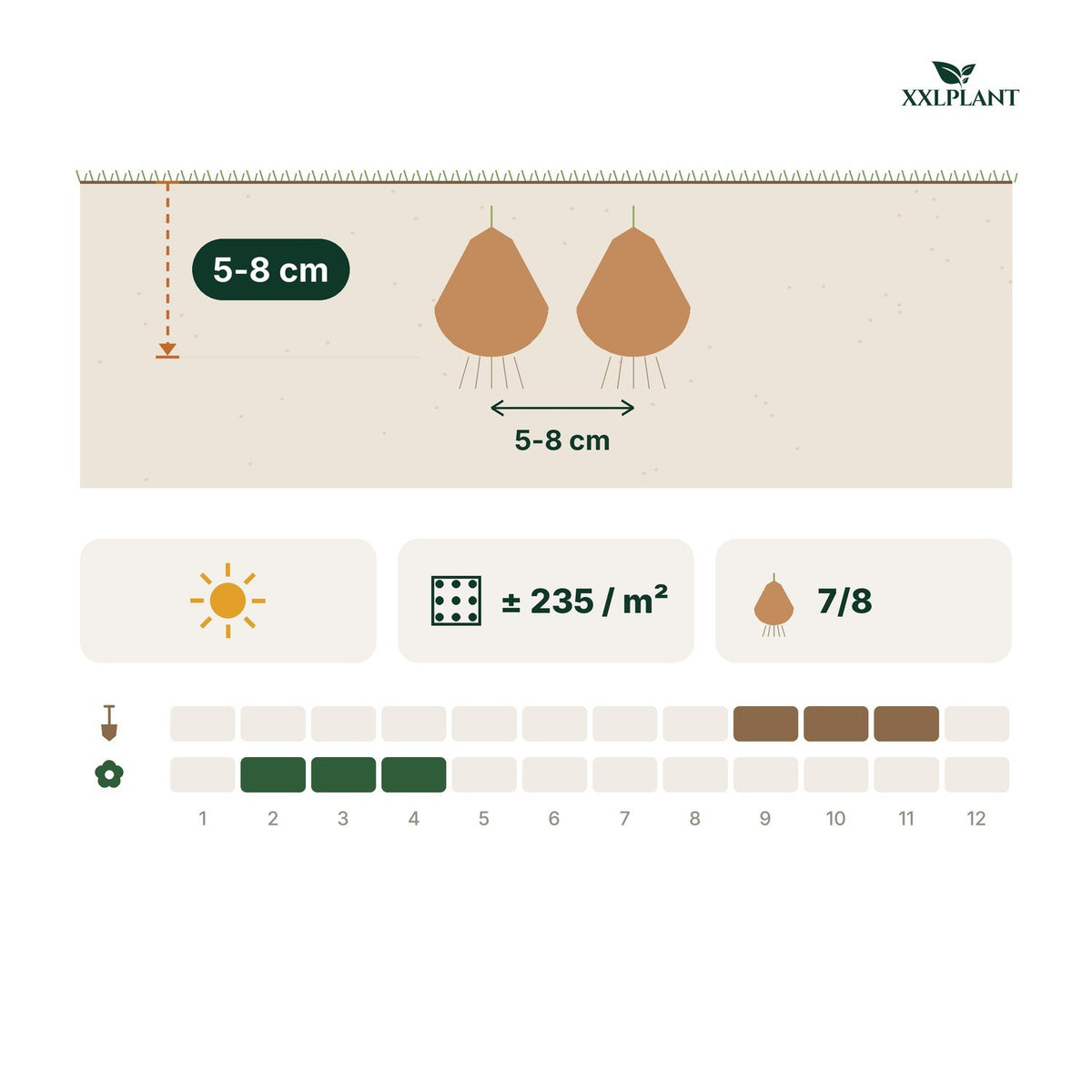 Plantkaart krokusbollen blue: 5-8 cm diep, 5-8 cm uit elkaar