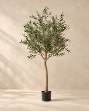 Kunst olijfboom (Olea europaea) van 180 cm hoog in kweekpot van 15 cm