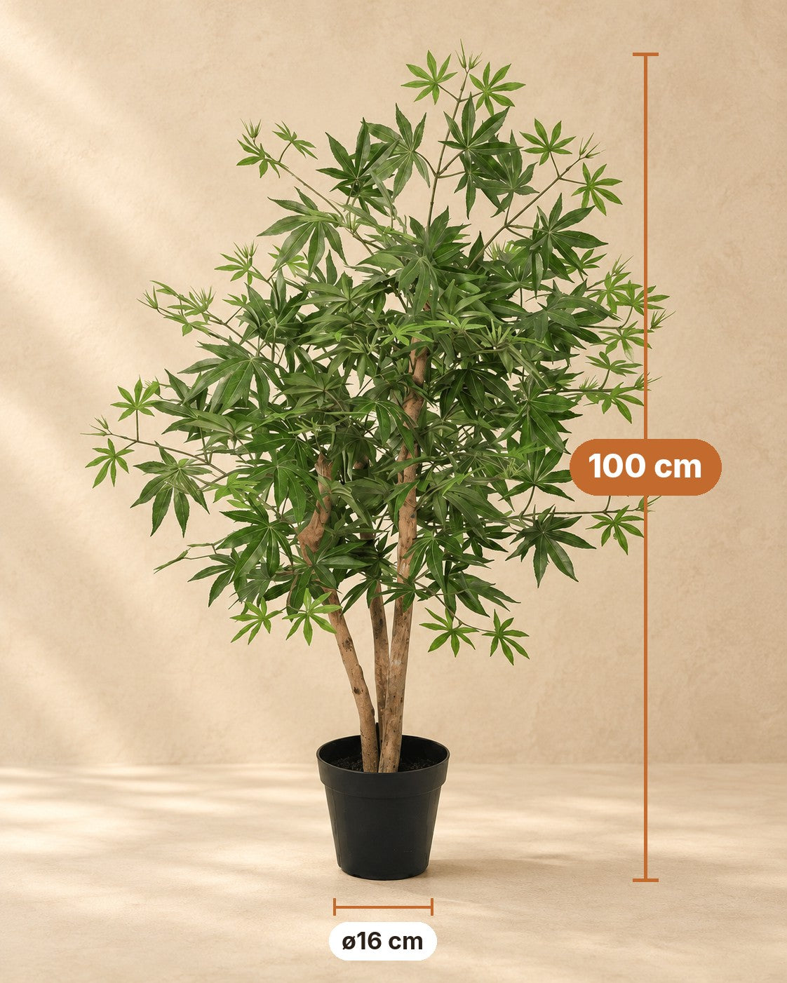 Mått Konstväxt Acer palmatum: 100 cm hög, kruka ø16 cm