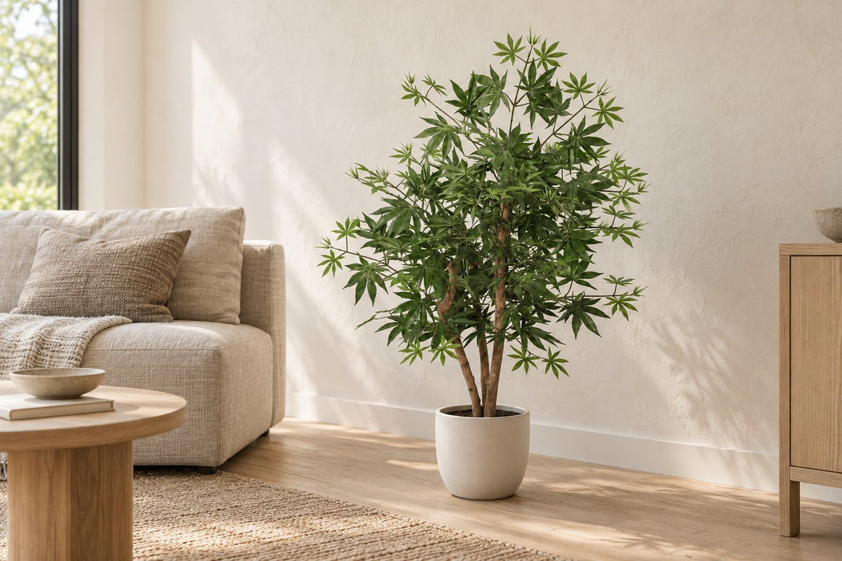 Konstväxt Acer palmatum, 100 cm, i a white ceramic planter i ett ljust vardagsrum