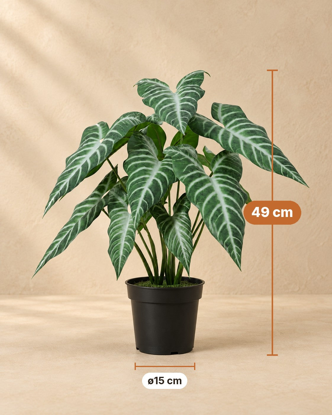 Afmetingen Kunstplant Alocasia Polly: 49 cm hoog, pot ø15 cm