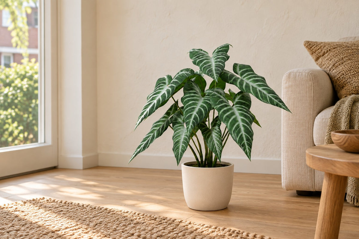 Kunstplant Alocasia Polly van 49 cm in een witte keramische pot in een lichte woonkamer