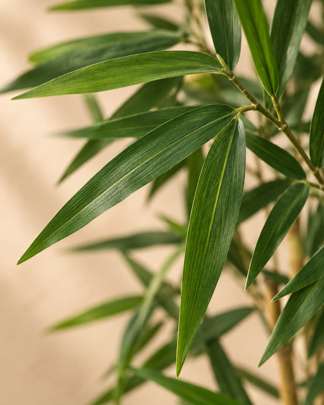 Close-up van het blad van de Kunstplant Bamboe