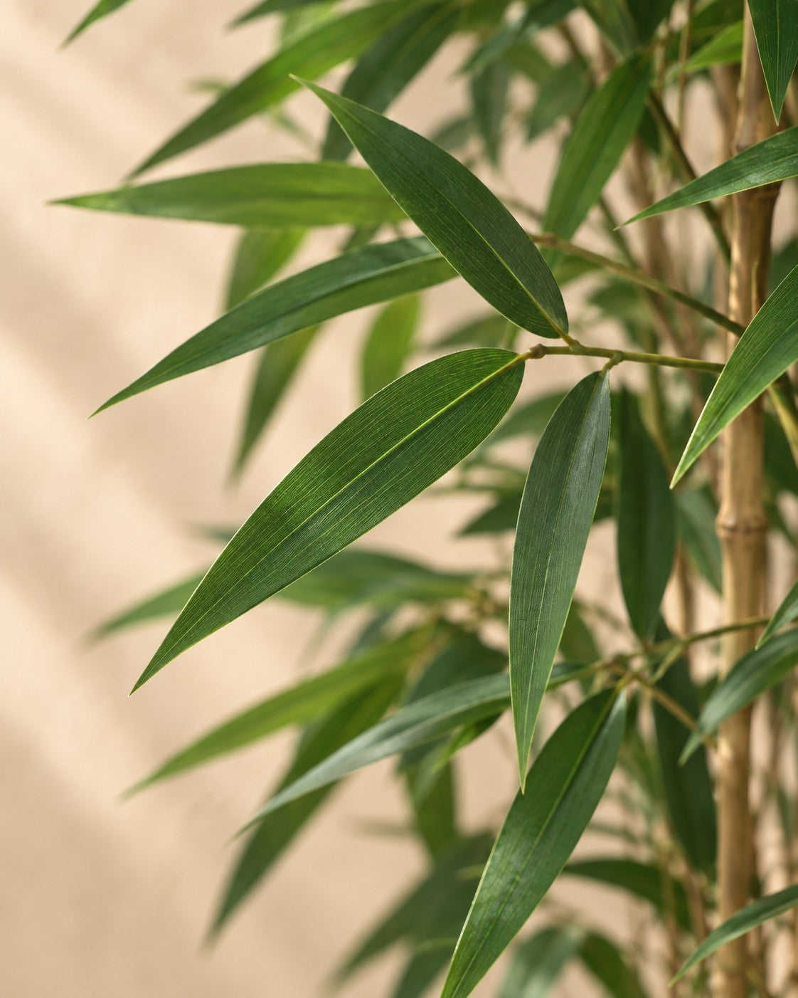 Primer plano de las hojas de Planta artificial bambú