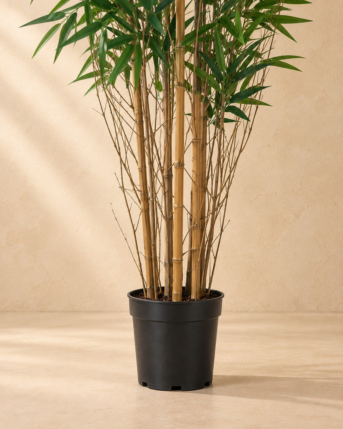 Parte inferior de Planta artificial bambú con su maceta