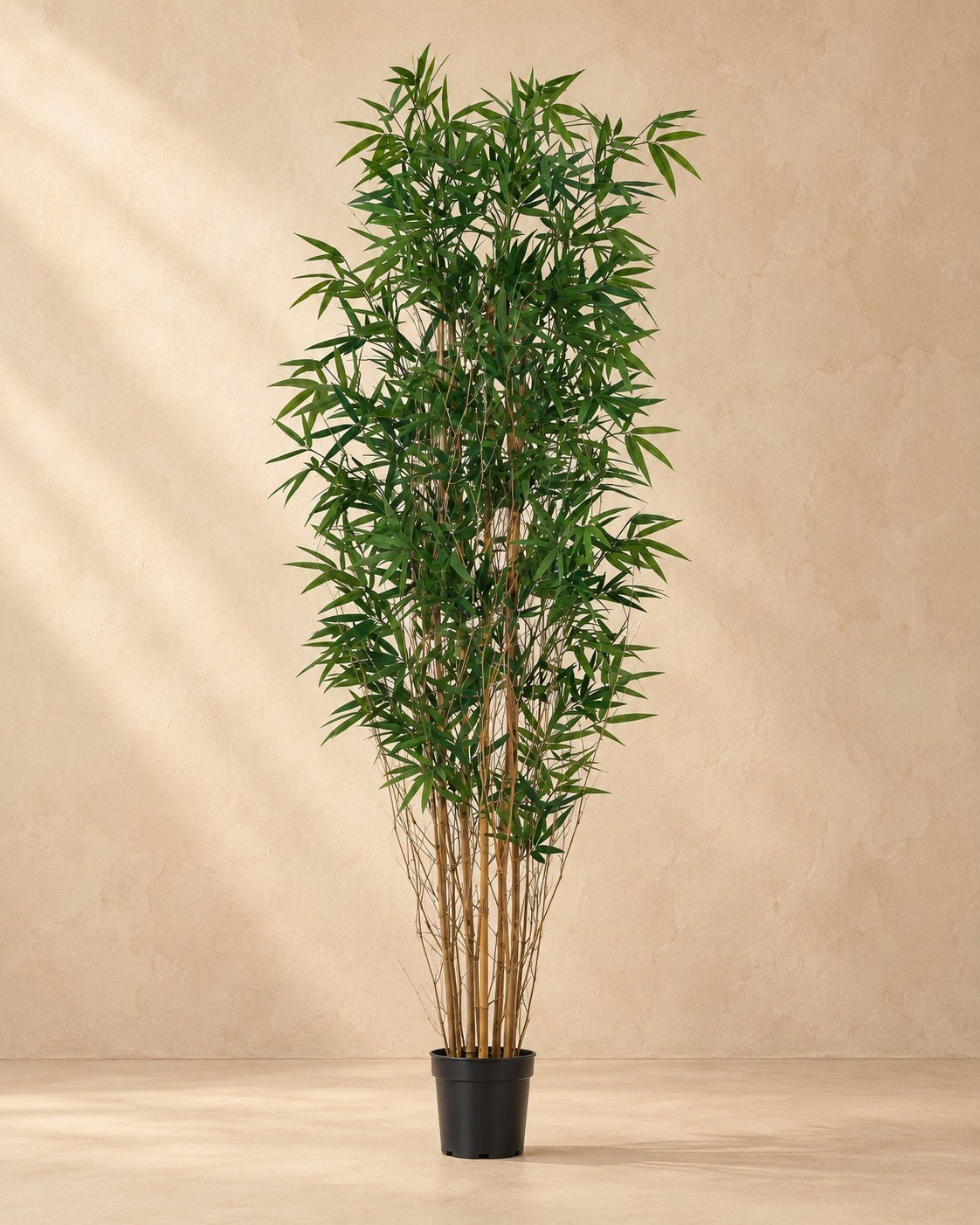 Planta artificial bambú, 210 cm de altura en maceta de 23 cm