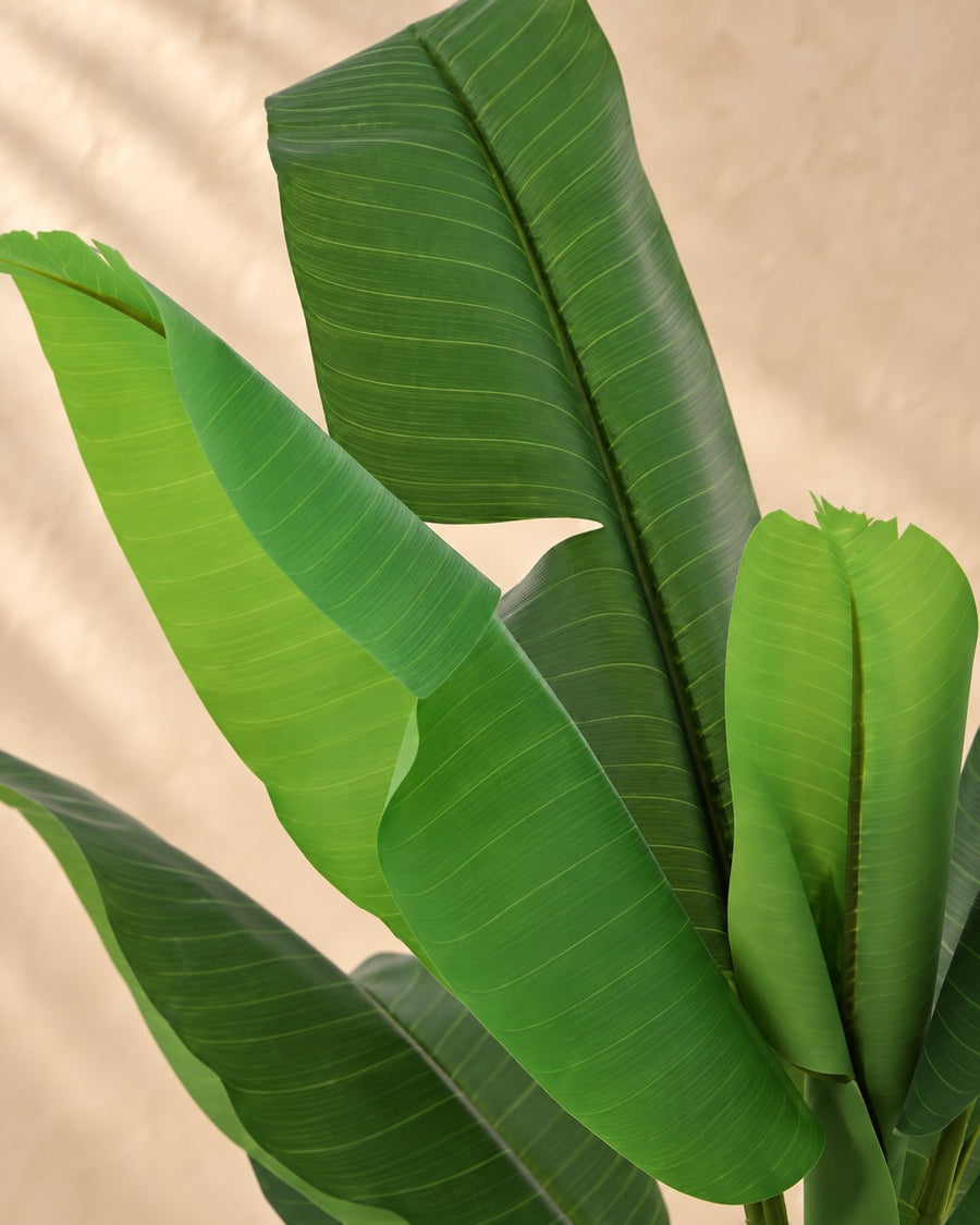Kunstplant Bananenplant Musa 120cm - ø16