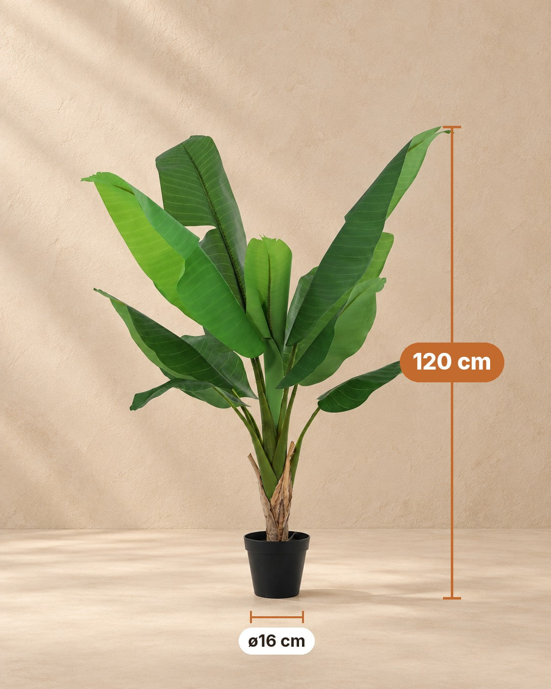 Afmetingen Kunstplant Bananenplant Musa: 120 cm hoog, pot ø16 cm