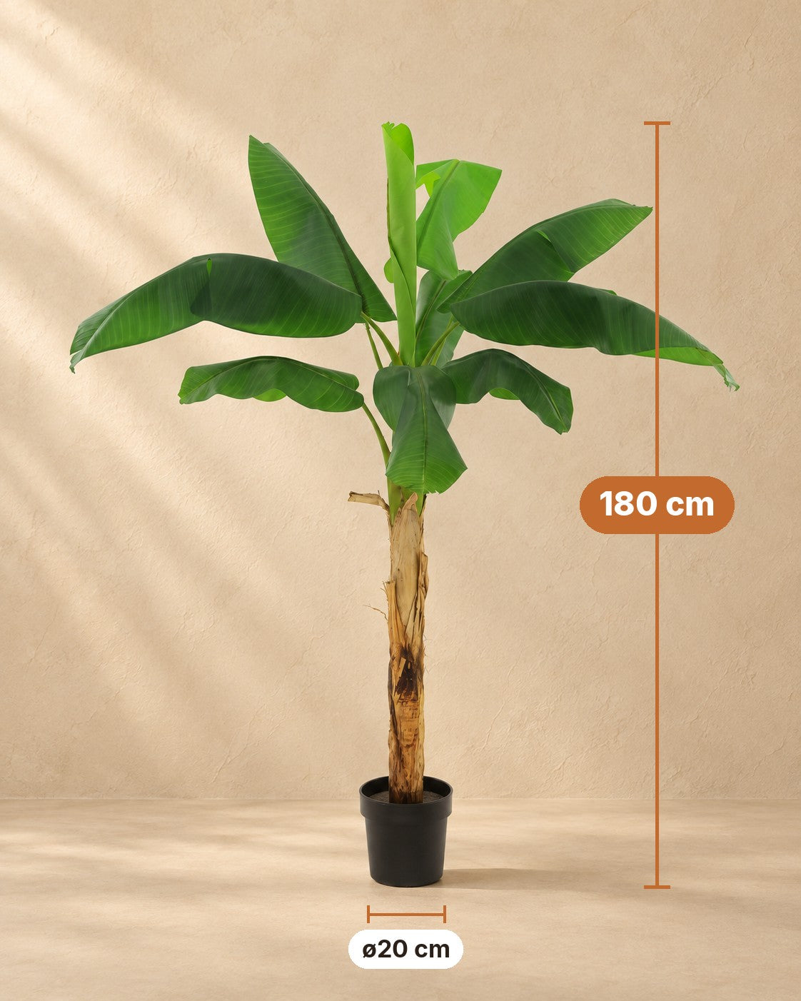 Afmetingen Kunstplant Bananenplant Musa: 180 cm hoog, pot ø20 cm