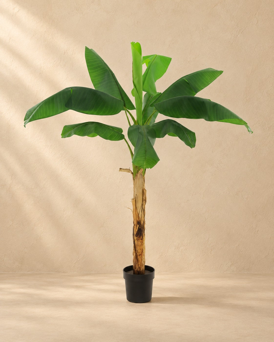Kunstplant Bananenplant Musa (Musa sp.) van 180 cm hoog in pot van 20 cm