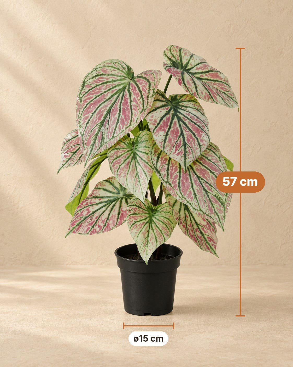 Medidas de Caladium artificial verde y rosa: 57 cm de altura, maceta ø15 cm