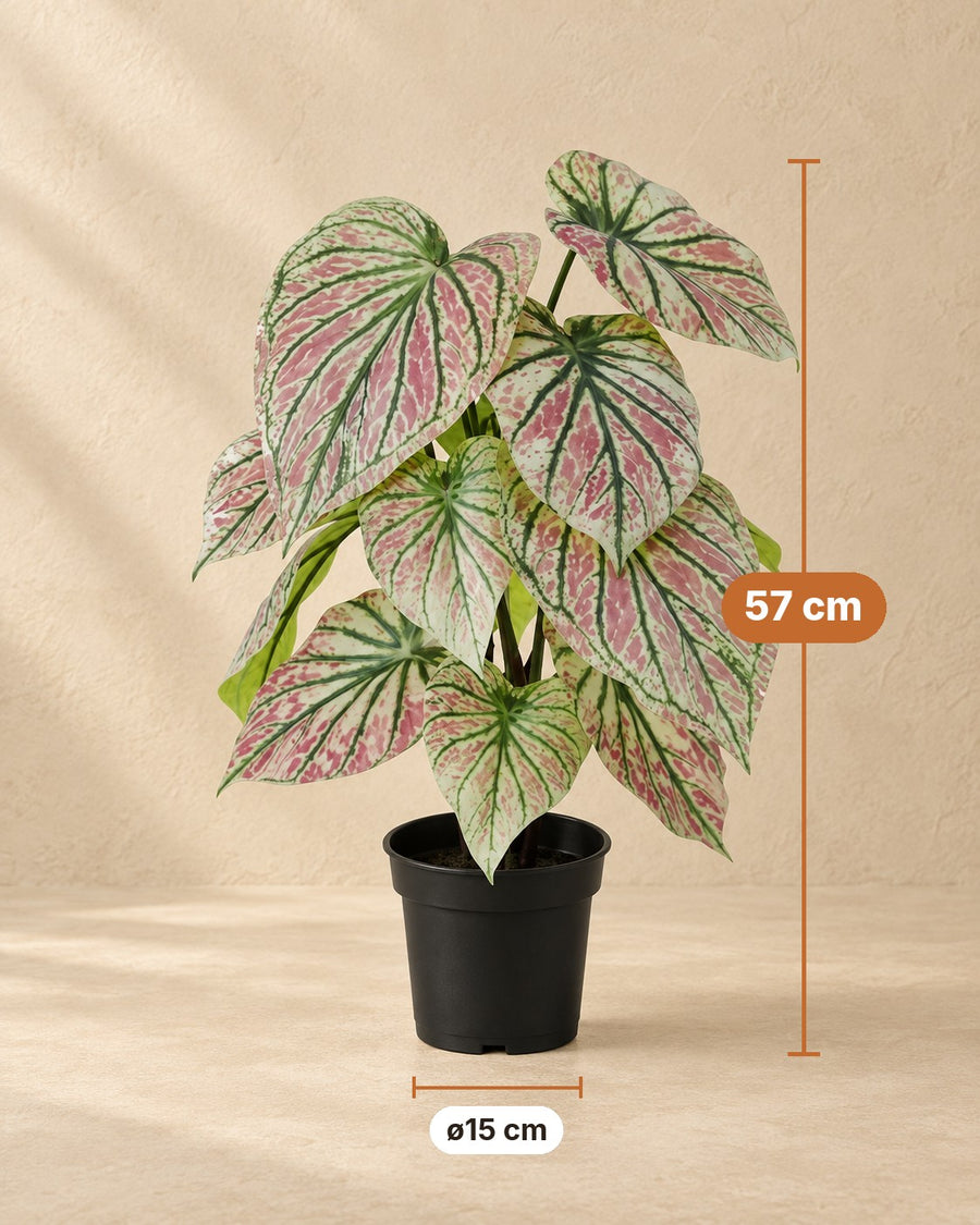Kunstplant Caladium groen roze 57cm - ø15