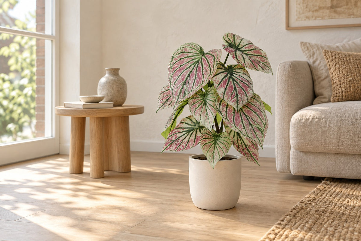 Caladium artificial verde y rosa, 57 cm, en a white ceramic planter en un salón luminoso