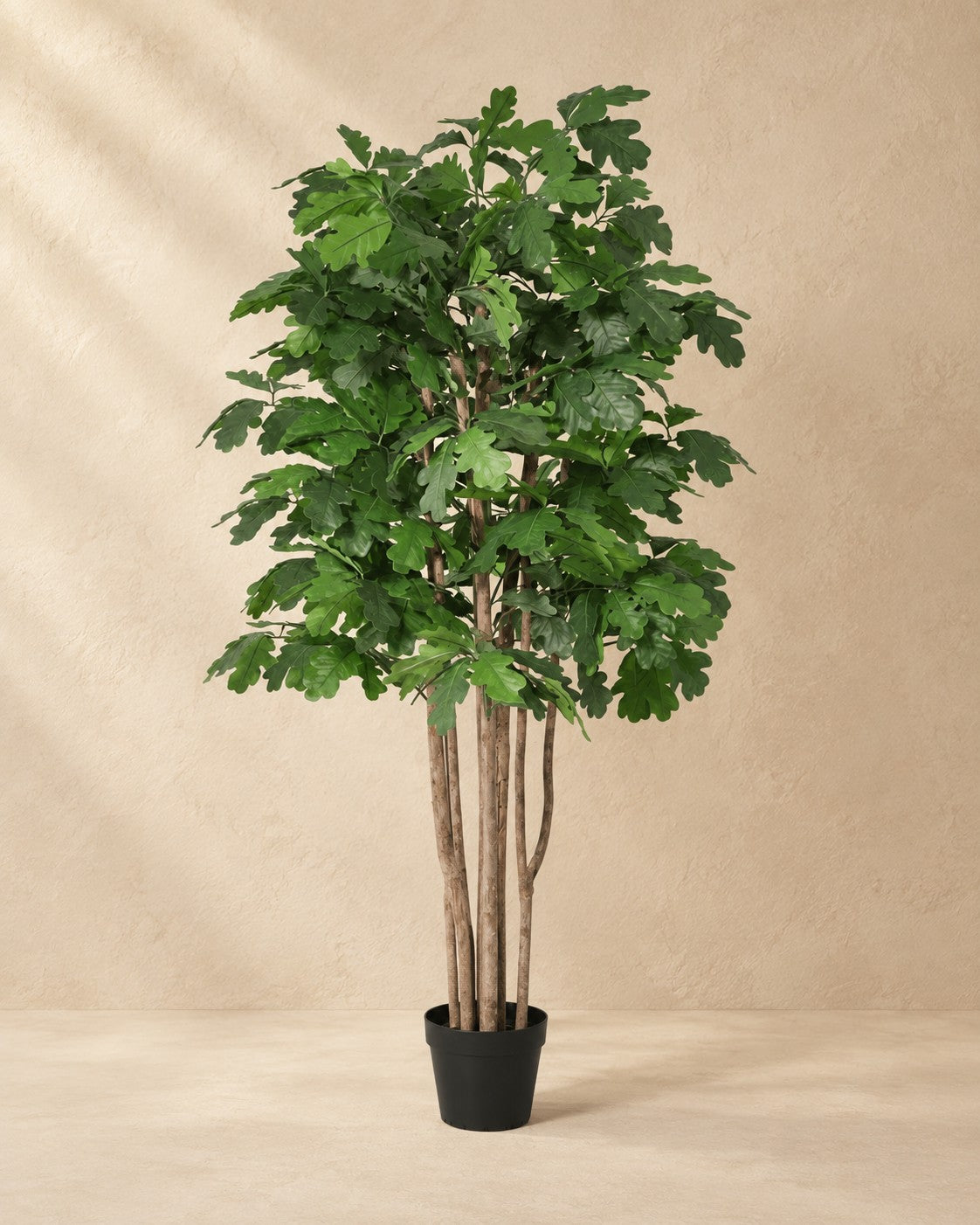 Roble artificial (Quercus sp.), 140 cm de altura en maceta de 18 cm