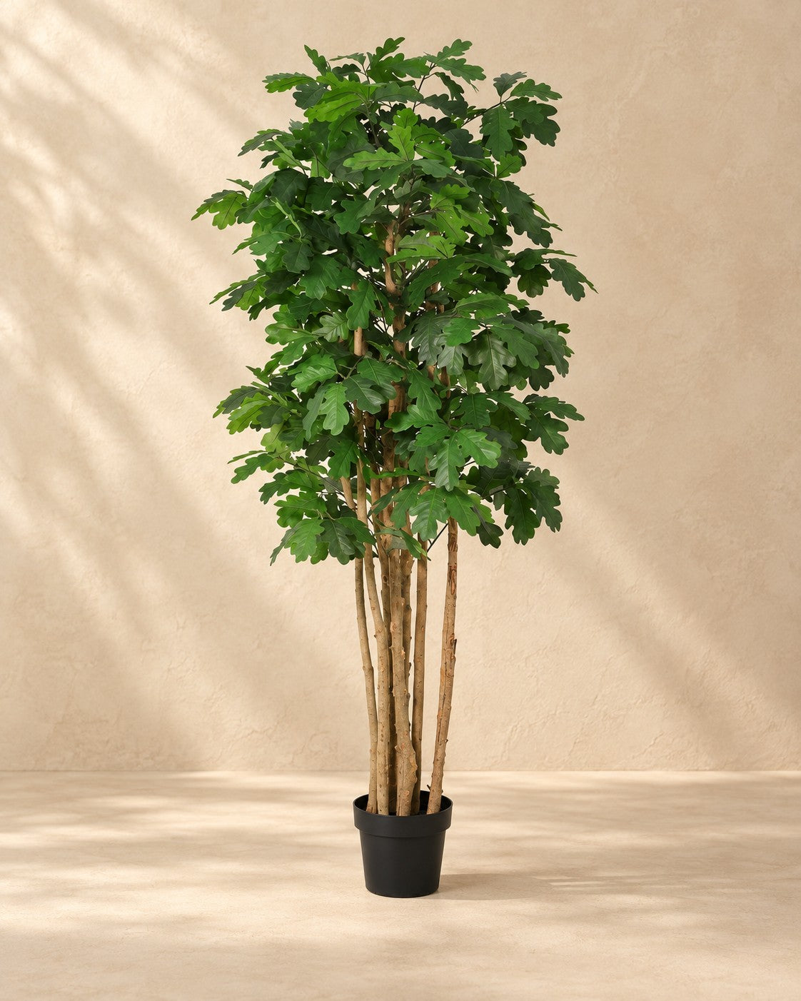 Planta artificial de roble (Quercus sp.), 170 cm de altura en maceta de 20 cm