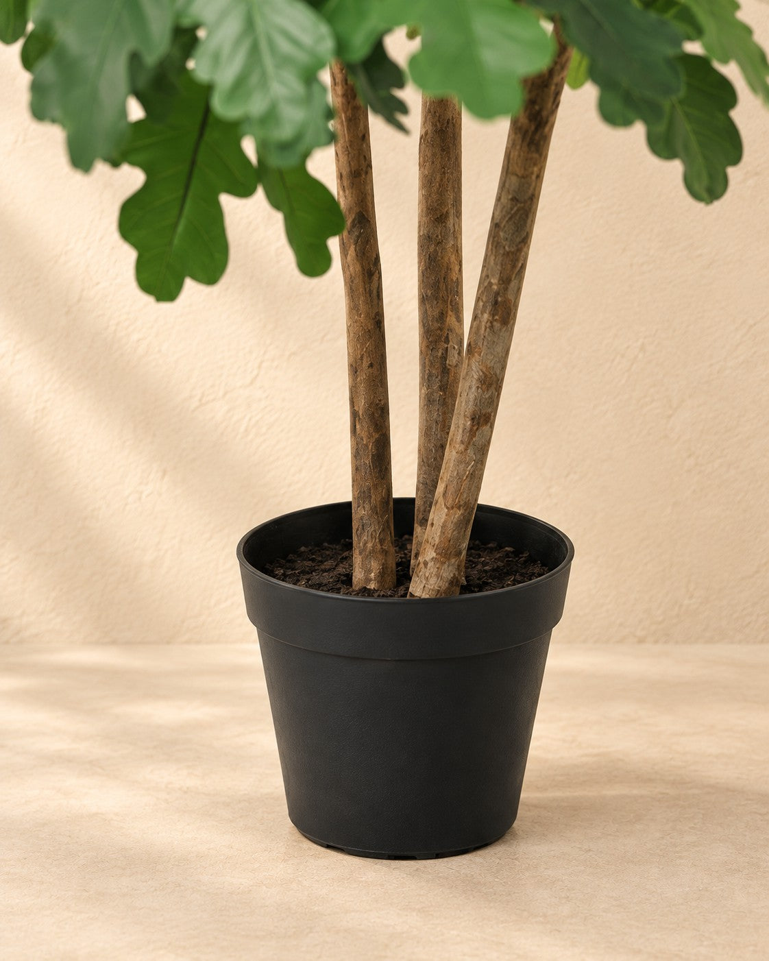 Onderste deel van de Kunstplant Eikenboom (Quercus sp.) met de pot