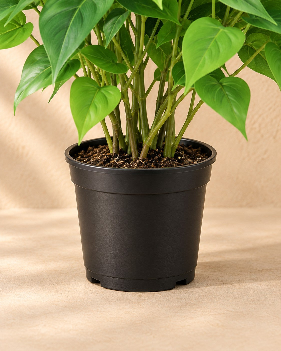 Onderste deel van de Kunstplant Epipremnum inclusief witte pot (Epipremnum aureum) met de pot