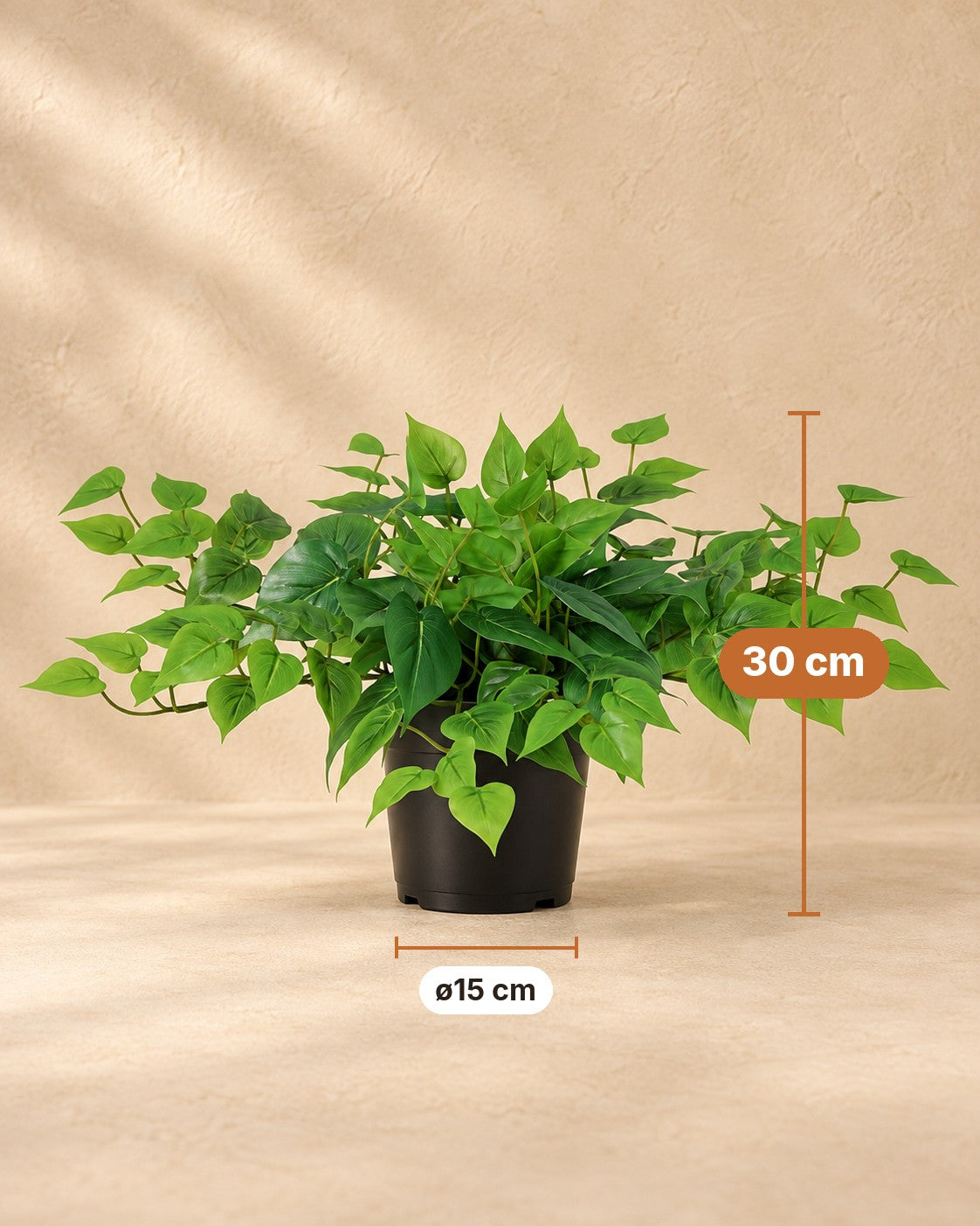 Afmetingen Kunstplant Epipremnum inclusief witte pot: 30 cm hoog, pot ø15 cm